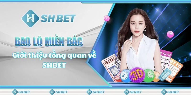 Giới thiệu tổng quan về SHBET Giới thiệu tổng quan về SHBET